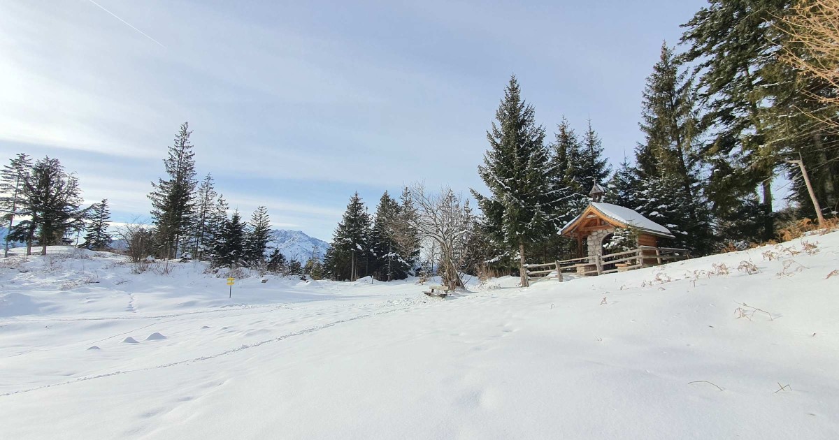 Schönalm in Puch - Foto: TVB Puch - Gerber